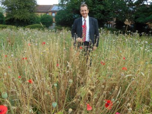 Cllr Julian Bell in poppy field at Perivale Park