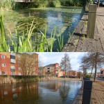 Before and after Otterbine at Enfield Island Village