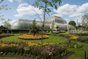 RBG Kew Palm House